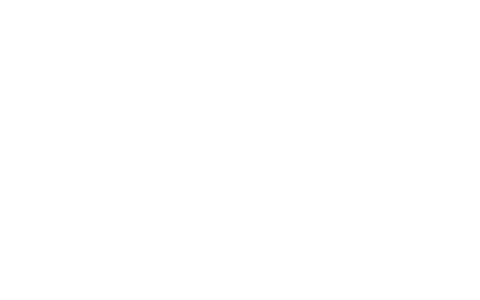 Empresa participante do Scale-Up Endeavor